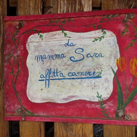 Affittacamere Damammasara Rignano sullʼArno エクステリア 写真