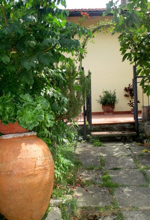 Affittacamere Damammasara Rignano sullʼArno エクステリア 写真
